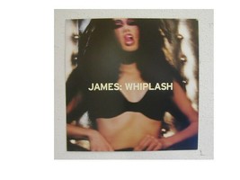 James Poster Flat Whiplash Scary 2 sided - $8.96