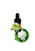 Gardenia Absolute Oil - 100% Pure Gardenia Jasminoides - 1 DRAM (1/8oz) - £39.16 GBP