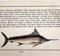 Marlin 1939 Salt Water Fish Gordon Ertz Color Plate Print Antique PCBG19 - $29.99
