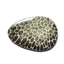 7.7 Carats TCW 100% Natural Beautiful Black Fossil Coral Fancy Cabochon ... - £9.23 GBP