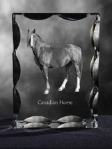 Canadian horse ,  Cubic crystal with horse, souvenir, decoration - £65.19 GBP