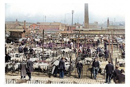 ptc3403 - Lancs - Early view of the busy Cattle Market in Salford - prin... - $2.80