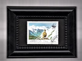 Framed Stamp Art - Caucasian Grouse - Endangered Wild Life - $9.79
