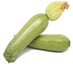 Squash Seeds - Summer - Zucchini Grey - Gardening - Vegetable Seeds - Free Ship - £22.13 GBP