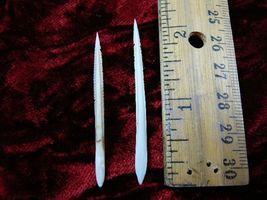 (f352-28) small 1-1/2" Stingray Ray barbs modern Himantura chaophraya ba... - $14.99