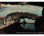 Natural Bridge Celilo Falls Columbia River Oregon OR UNP Unused DB Postc... - $2.92
