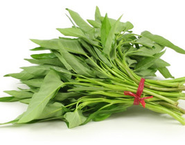 500 Seeds Large Leaf Water Spinach Ong Choy HạT Rau MuốNg Lá LớN Beautiful Garde - £10.30 GBP