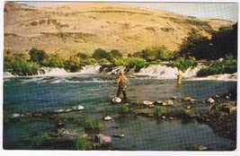 Nature Postcard Fishing On The River - $2.96