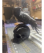 Skull and Crow - $25.00