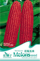 10 Original Pack 10 Seeds Pack Red Waxy Corn for family pack tasty maize Corn Se - £16.69 GBP