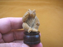 (tb-bear-2) brown Grizzly Bear cub Tagua NUT palm figurine Bali carving bears - £38.33 GBP
