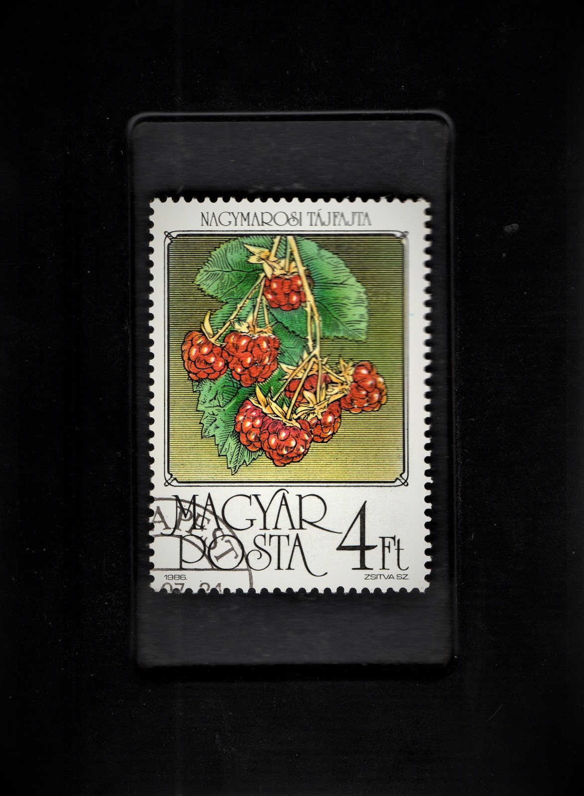 Primary image for Framed Stamp Art - Postage Stamp from Hungary - Raspberries