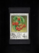 Framed Stamp Art - Postage Stamp from Hungary - Raspberries - £7.09 GBP