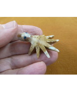 (Y-OCT-21) baby tan OCTOPUS carving SOAPSTONE stone PERU FIGURINE love o... - €7,50 EUR
