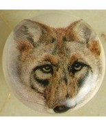 Cabinet Knobs Knob w/ Coyote Head Shot Wildlife - €4,42 EUR