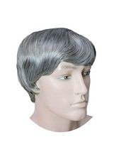 Sraight Man Wig Dark Grey - £71.54 GBP