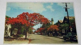 Simonton Street Key West,Florida Lighthouse 1966 Chrome Postcard - £6.74 GBP