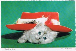 Comic Postcard Cute Kitten Under Hat Try This One On For Size - £2.36 GBP