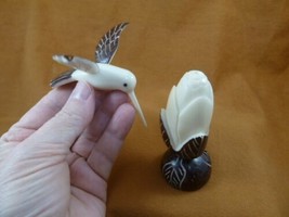 TNE-BIR-HU-213A) Hummingbird bird flower TAGUA NUT palm figurine humming... - $43.47