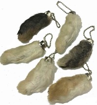 8  NATURAL LUCKY RABBIT FOOT KEY CHAIN good luck charm bunny feet  rabbi... - £12.33 GBP