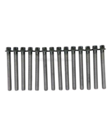 BMW Cylinder Head Bolt Set 11127831862 Victor Reinz 14-32312-01 -Z3 Z4 3... - €40,88 EUR