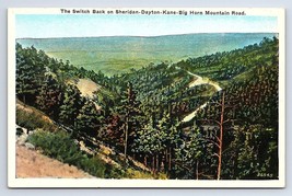 Postcard Switch Back Sheridan-Dayton-Kane-Big Horn Mountain Road, Wyoming WY - $3.75