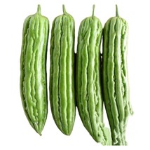 5 Green Skin Bitter Melon Bitter Gourd Seedsfast From US  - £7.68 GBP