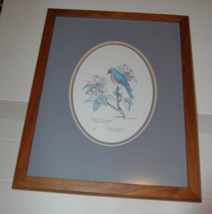Sharon Morris Kincheloe 1986 104/650 Crabtree Eastern Bluebird Framed Print - £180.64 GBP