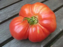 BEST 50 Seeds Easy To Grow German Johnson Tomato Vegetable Tomatoe - $10.00