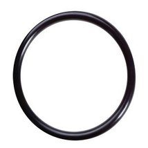 Pura UV (34202022) O-Ring for UVBB Inner Quartz - $10.96
