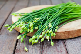 Grow 150 Garlic Chive Chives Herb Seeds  - £7.20 GBP