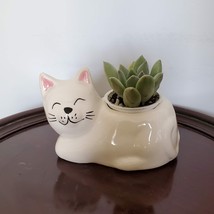 Cat Animal Planter with Succulent, live house plant in ceramic white Kitten Pot