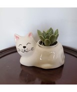 Cat Animal Planter with Succulent, live house plant in ceramic white Kit... - £15.94 GBP