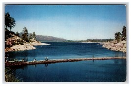 Fishing Scene Big Bear Lake California CA UNP Chrome Postcard R29 - £2.29 GBP