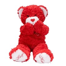 Build A Bear Teddy Plush 17&quot; Red Valentines Day Magnetic Hands Heart Nos... - £15.53 GBP