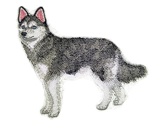 Amazing Custom Dog Portraits [Alaskan Klee Kai] Embroidery IronOn/Sew Patch [4.5