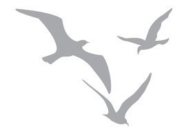 3 Sea Gulls Larges Seagull 4" wide Etched Glass Decal - CUSTOM Size - $15.00