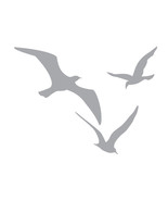 3 Sea Gulls Larges Seagull 4&quot; wide Etched Glass Decal - CUSTOM Size - £11.80 GBP