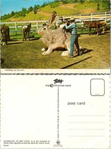 Cowboy Saddling Up Big Jack Oversized Giant Rabbit Gag Gift Funny VTG Postcard - £7.39 GBP