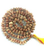 Rare 14 Mukhi Rudraksha Mala / Mahabali Hanuman Mala - 108+1 - Lab Certi... - €2.235,92 EUR