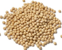Soybean 100 100 Seeds 100 Seeds Non GMO Pure Seeds Uses Microgreen Sprou... - $11.37