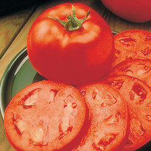 Tomato Homestead 30 Fresh Organic Seeds Low Acid - $9.98