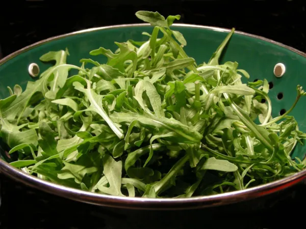 1000+ Arugula Rocket Salat (Roquette) Heirloom Seeds For 2021 USA Seller - £6.70 GBP