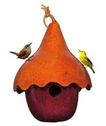 APPLE with HAT BIRDHOUSE - Amish Handmade 2 Gourd Bird House - $73.49 CAD