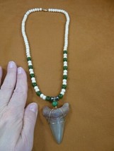 (s264-17) 2-3/8&quot; Fossil MEGALODON Tooth ache bone + jade beaded 20&quot; Neck... - £86.75 GBP