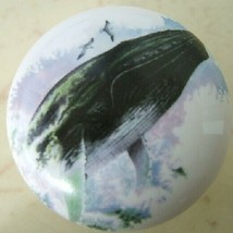 Cabinet Knobs Knob w/ Whale Humpback Sperm - £4.11 GBP