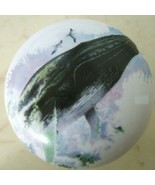 Cabinet Knobs Knob w/ Whale Humpback Sperm - $7.13 CAD