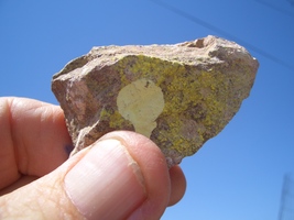 Item image 11