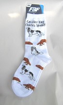 Adult Medium Cavalier King Charles Dog Breed Poses Footwear Dog Socks 6-11 - $11.99