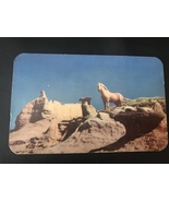1940&#39;s Petley Postcard - Wild Palomino Stallion  - £2.94 GBP